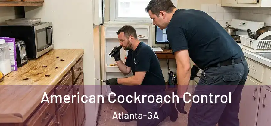  American Cockroach Control Atlanta-GA