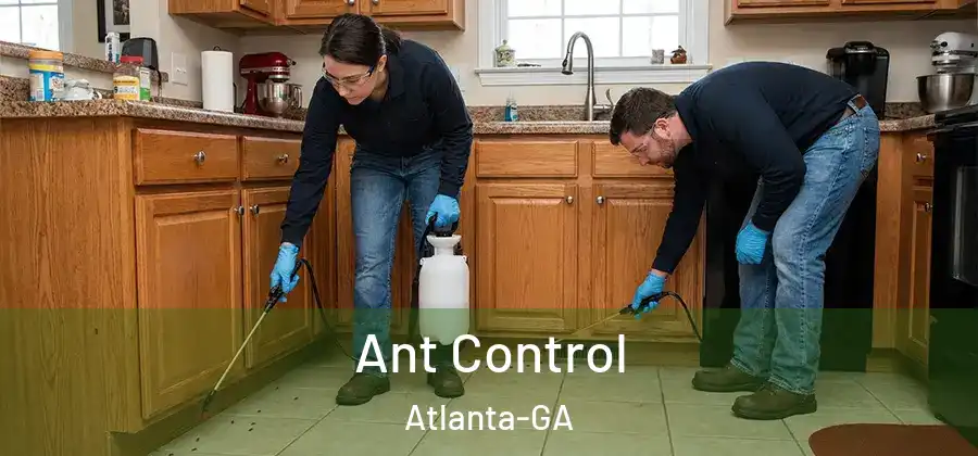 Ant Control Atlanta-GA