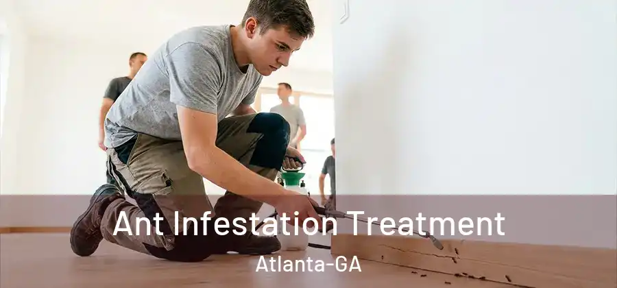 Ant Infestation Treatment Atlanta-GA