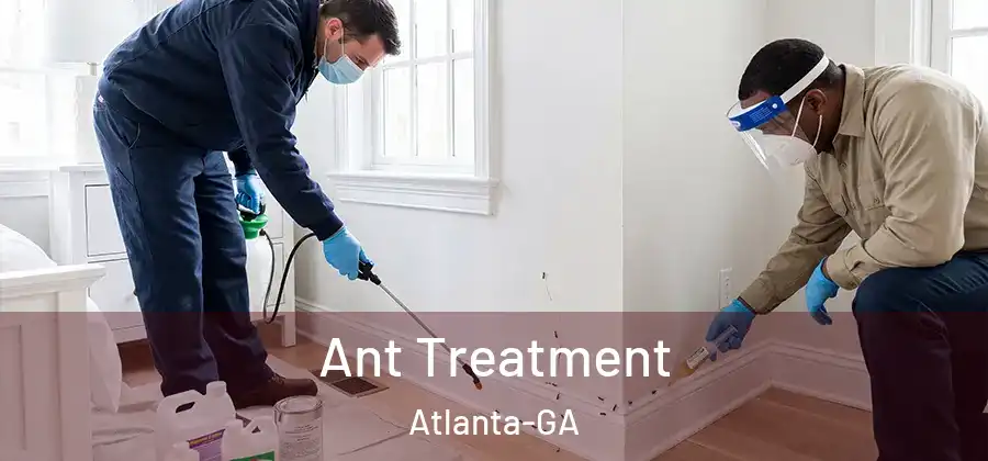Ant Treatment Atlanta-GA