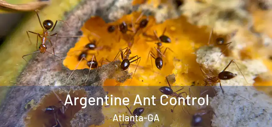 Argentine Ant Control Atlanta-GA