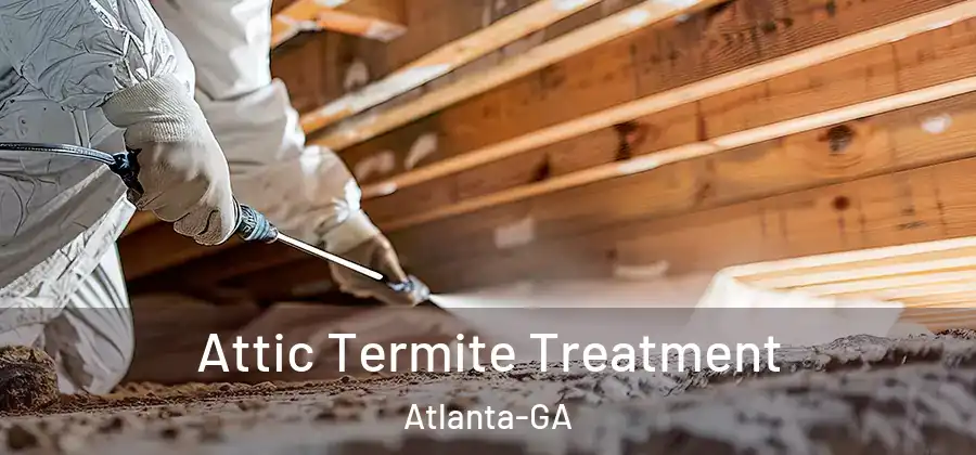 Attic Termite Treatment Atlanta-GA