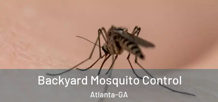  Backyard Mosquito Control Atlanta-GA