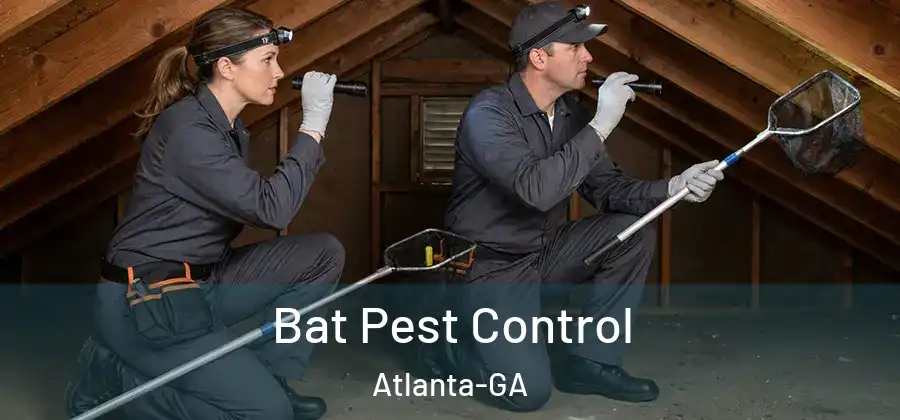 Bat Pest Control Atlanta-GA
