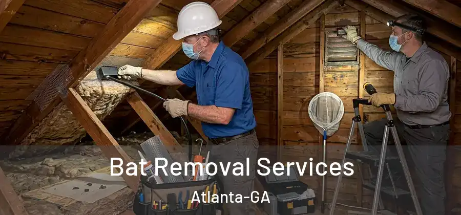 Bat Removal Services Atlanta-GA