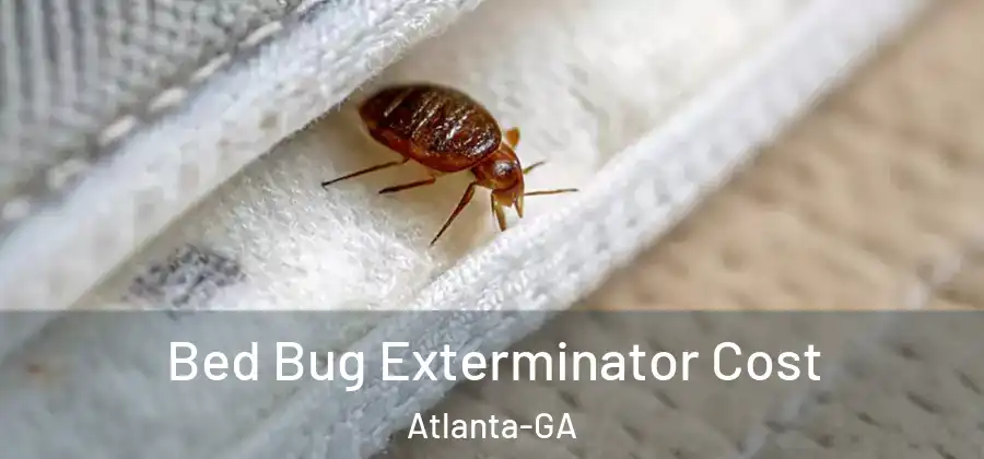 Bed Bug Exterminator Cost Atlanta-GA