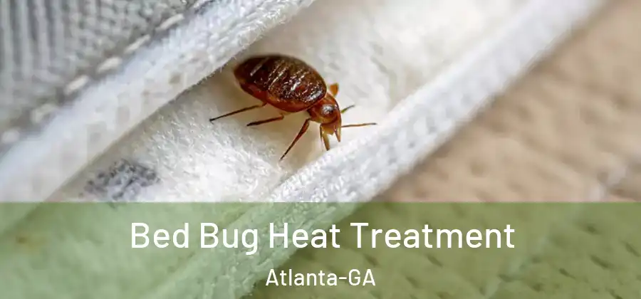Bed Bug Heat Treatment Atlanta-GA