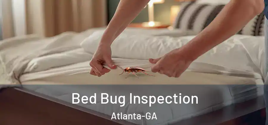 Bed Bug Inspection Atlanta-GA