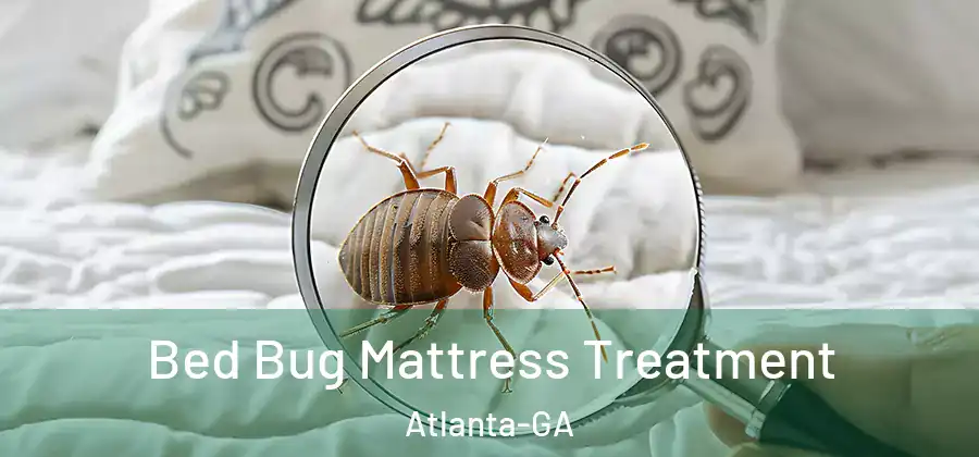  Bed Bug Mattress Treatment Atlanta-GA