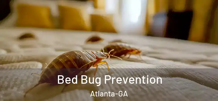  Bed Bug Prevention Atlanta-GA