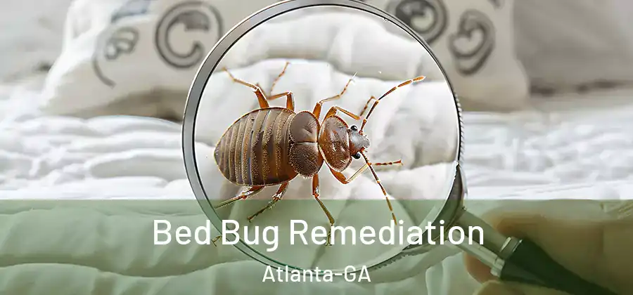  Bed Bug Remediation Atlanta-GA