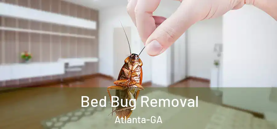 Bed Bug Removal Atlanta-GA