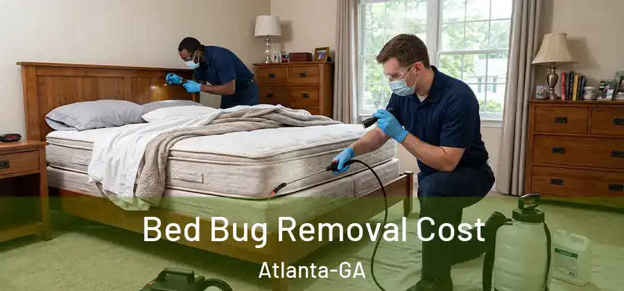 Bed Bug Removal Cost Atlanta-GA