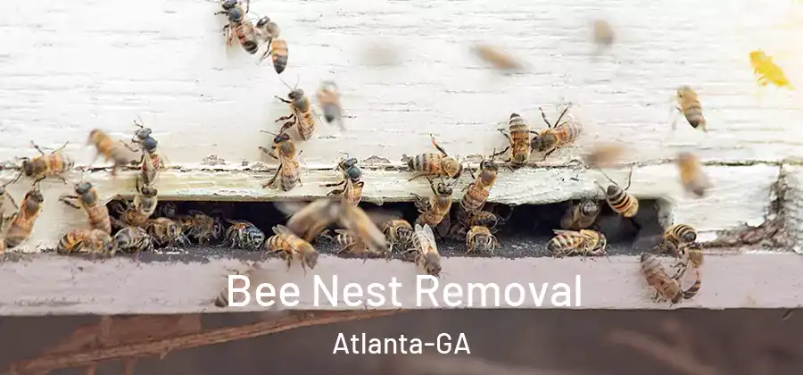 Bee Nest Removal Atlanta-GA