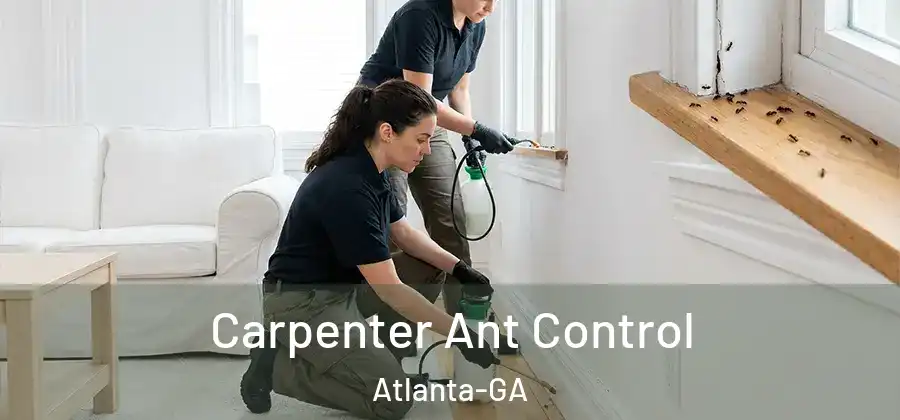  Carpenter Ant Control Atlanta-GA