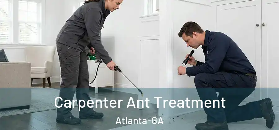  Carpenter Ant Treatment Atlanta-GA