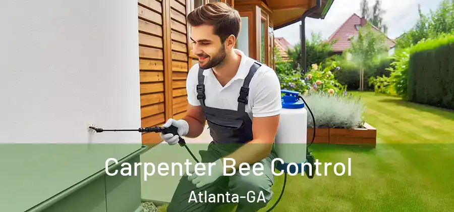  Carpenter Bee Control Atlanta-GA