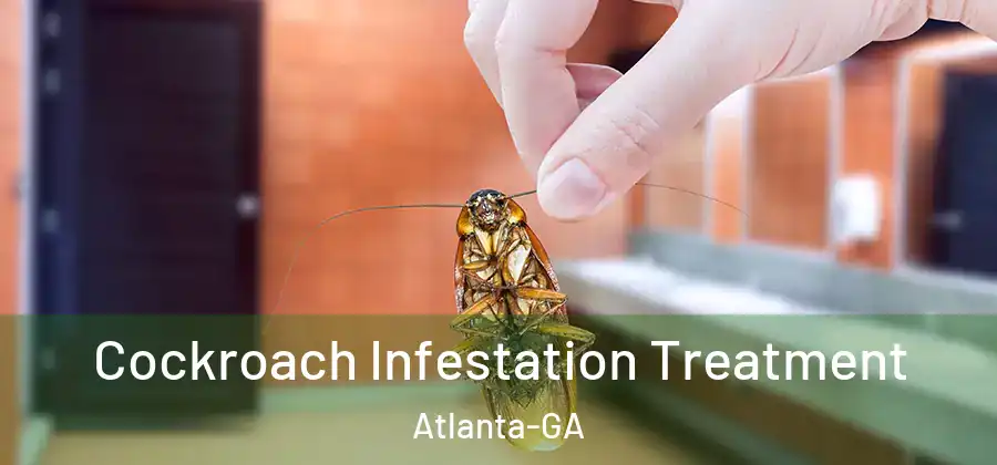  Cockroach Infestation Treatment Atlanta-GA