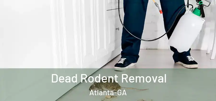 Dead Rodent Removal Atlanta-GA