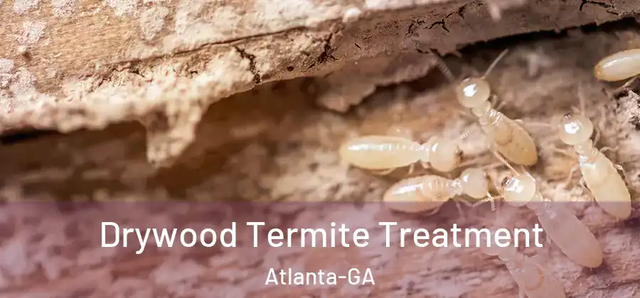 Drywood Termite Treatment Atlanta-GA