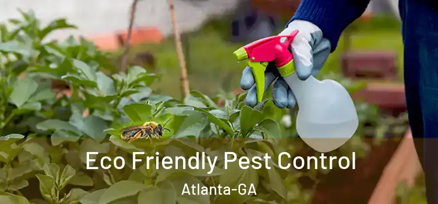 Eco Friendly Pest Control Atlanta-GA