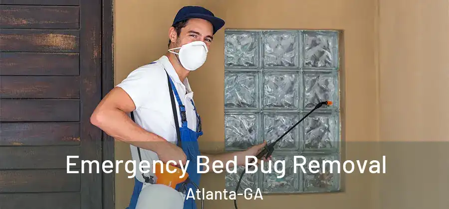 Emergency Bed Bug Removal Atlanta-GA