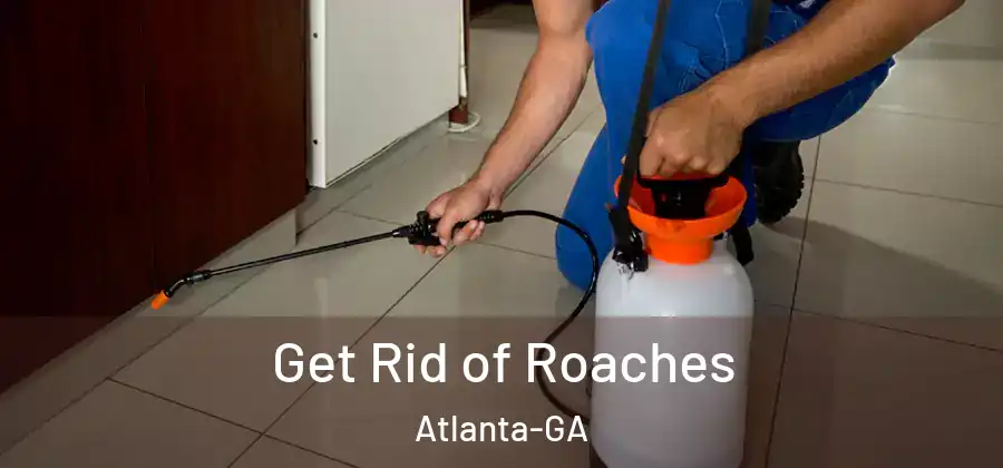 Get Rid of Roaches Atlanta-GA
