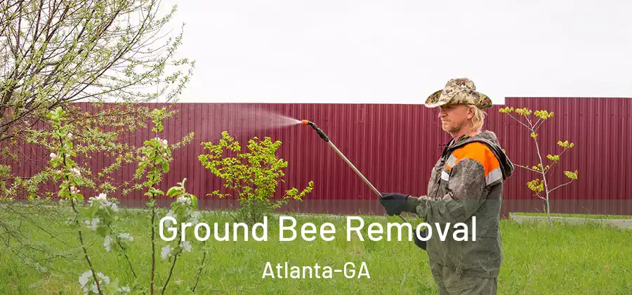 Ground Bee Removal Atlanta-GA