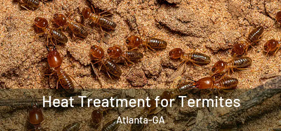 Heat Treatment for Termites Atlanta-GA