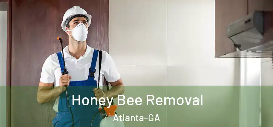 Honey Bee Removal Atlanta-GA