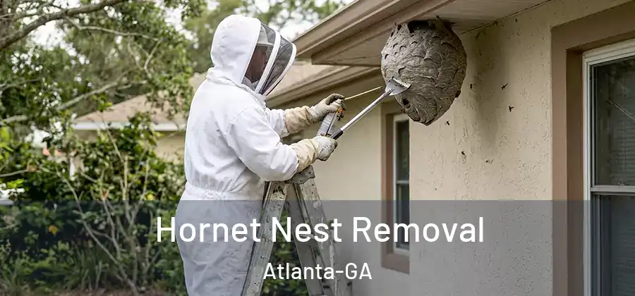  Hornet Nest Removal Atlanta-GA
