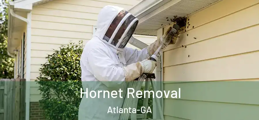 Hornet Removal Atlanta-GA