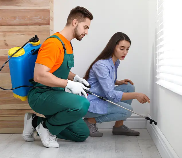 Trusted Affordable Bed Bug Treatment Experts in Atlanta, GA