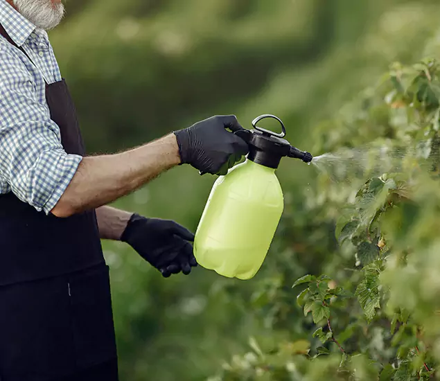 Your Proven Mosquito Treatment Company in Atlanta, GA