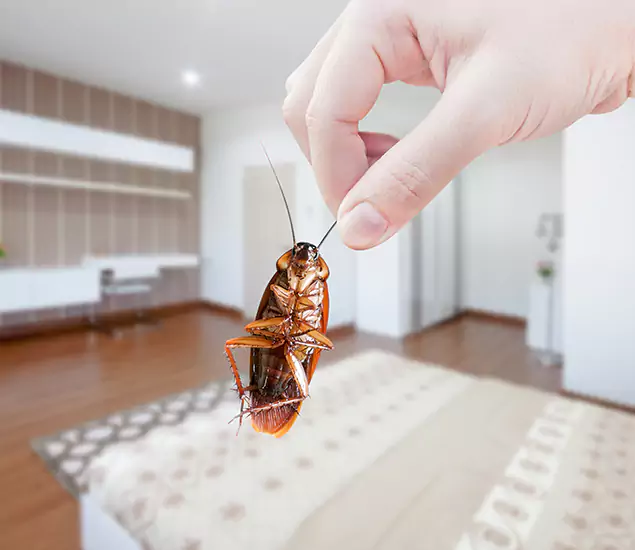 Your Cockroach Control Services in Atlanta, GA