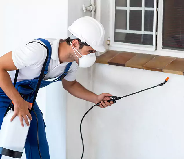 Your Professional Cockroach Exterminator in Atlanta, GA