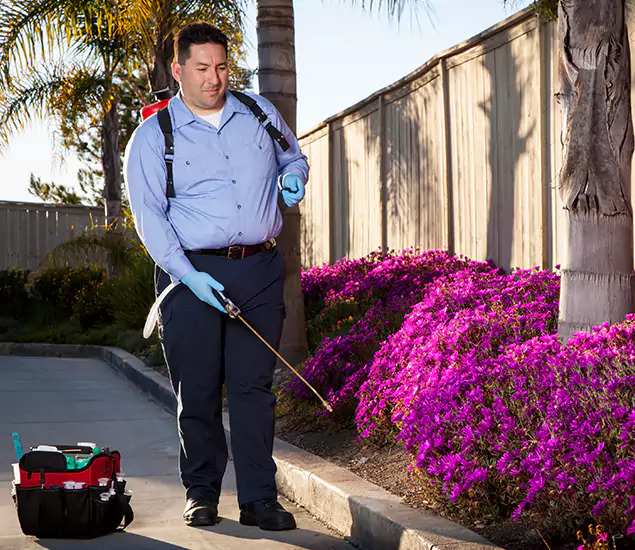 About Our Eco Safe Pest Control Experts in Atlanta, GA