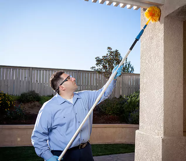 Trusted Experts in Atlanta GA for Formosan Termite Treatment and Black Termite Control