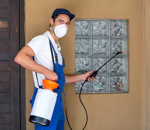 About Heat Treatment for Termites Experts in Atlanta, GA