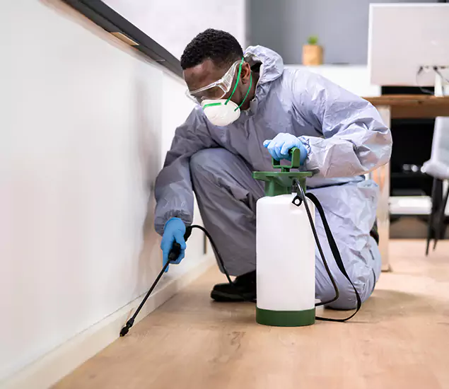 Leading Industrial Pest Control Experts Serving Atlanta, GA