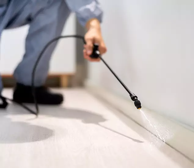 About Our Liquid Termite Treatment Experts in Atlanta, GA