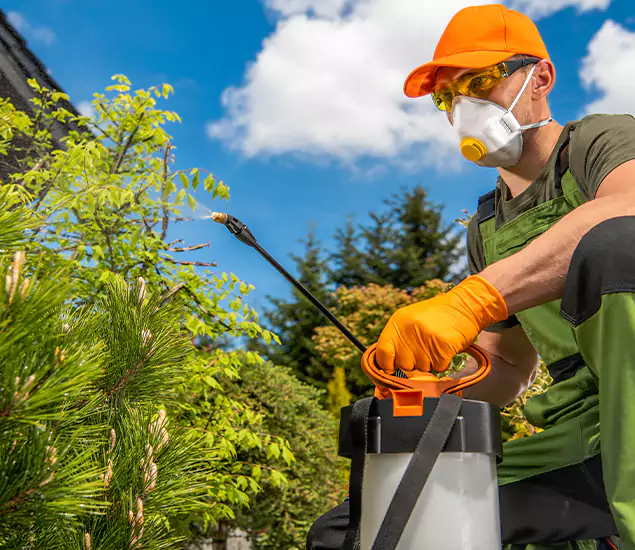 Your Mosquito Repellent Barrier Service in Atlanta, GA