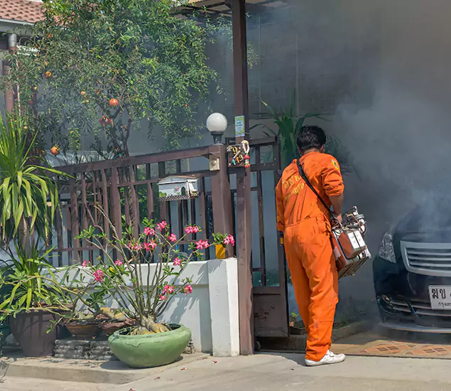 Your Proven Mosquito Fogging Company in Atlanta, GA