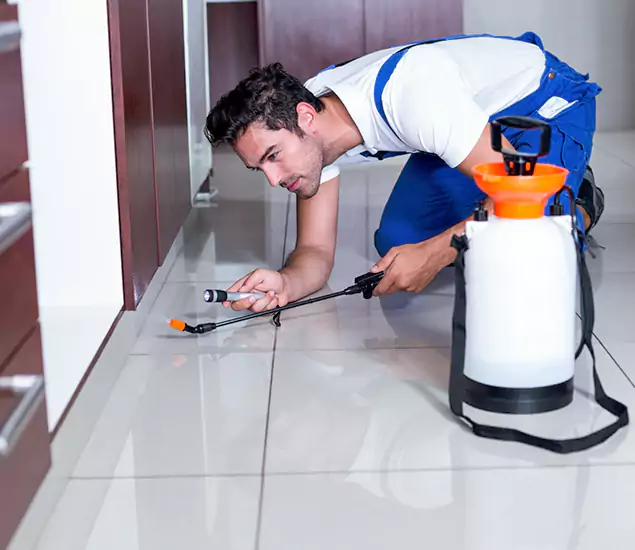 Reliable Professional Mouse Removal: Your Best Mouse Control Company in Atlanta, GA