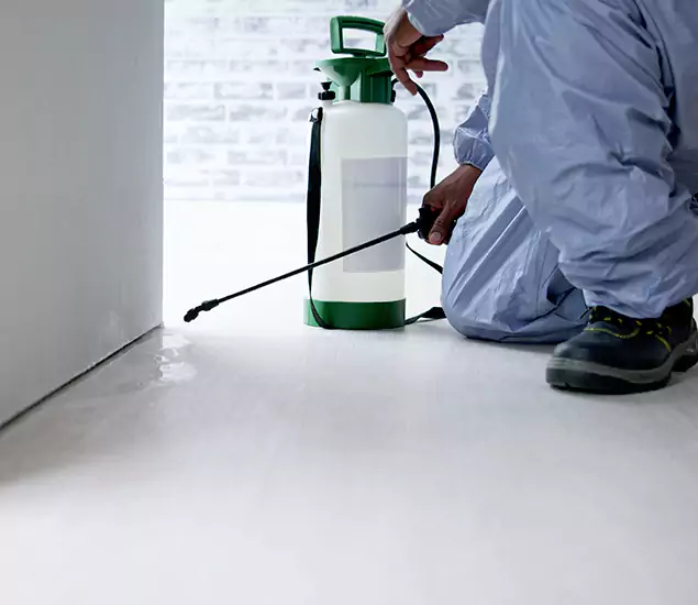 Affordable Pest Control Experts in Atlanta, GA