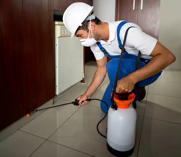 Advanced Termite Pre Treatment Experts in Atlanta, GA