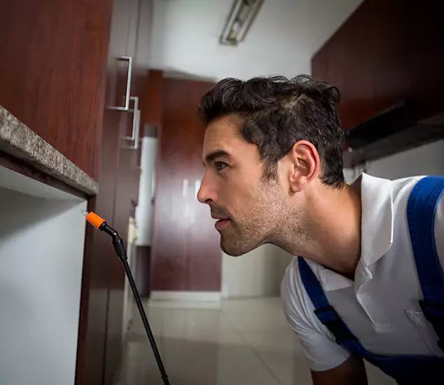 Expert Rodent in Attic Removal: Your Proven Pest Specialists in Atlanta, GA