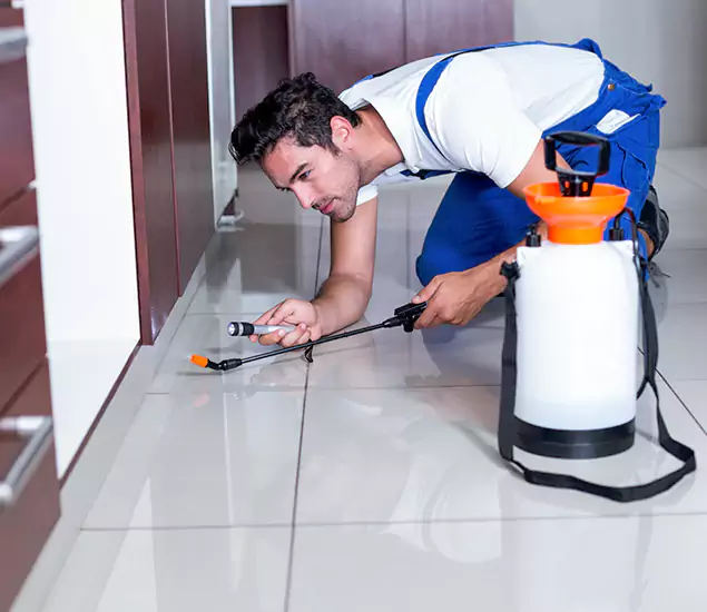 Advanced Slab Termite Treatment Experts You Can Trust&nbsp;in Atlanta, GA