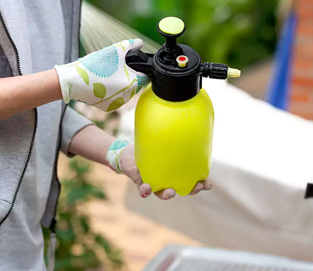 Skilled Residential Small Black Ant Service in Atlanta, GA