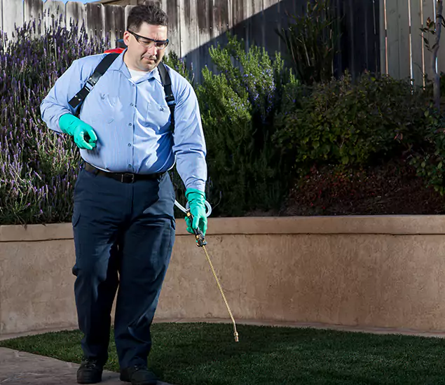Reliable Termite Barrier Treatment Experts in Atlanta, GA